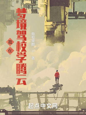 我在夢境駕校學騰雲小說封面圖