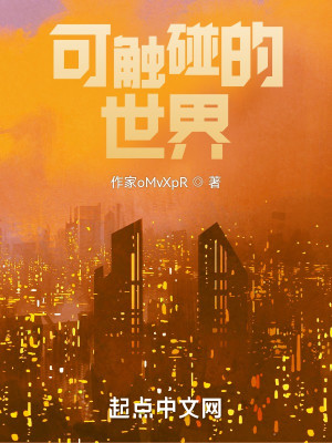 可觸碰的世界小說封面圖
