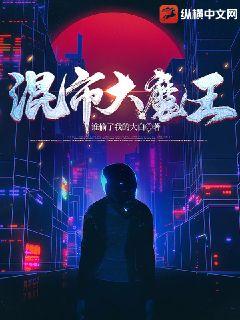 混市大魔王小說封面圖