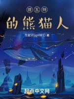 提瓦特的熊貓人小說封面圖