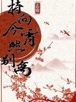 持向今宵照別離小說封面圖