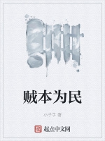 賊本爲民小說封面圖