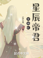 穿越之星辰帝君小說封面圖