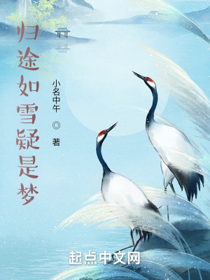 歸途如雪疑是夢小說封面圖