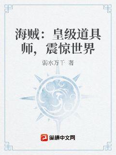 海賊：皇級道具師，震驚世界小說封面圖