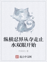 縱橫忍界從奪走止水雙眼開始小說封面圖