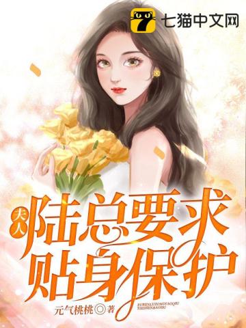 夫人，陸總要求貼身保護小說封面圖