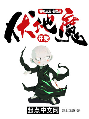霍格沃茨：御獸從伏地魔開始小說封面圖
