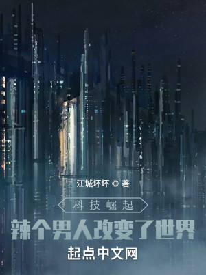 科技崛起：辣個男人改變了世界小說封面圖