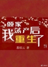 傾家蕩產後，我重生了小說封面圖