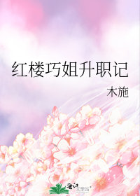 紅樓巧姐升職記小說封面圖