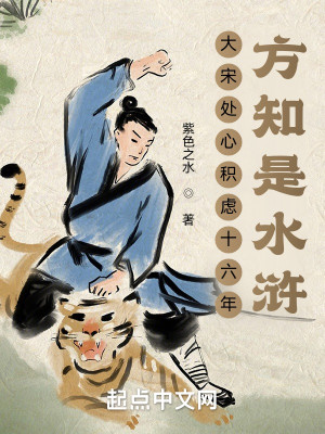 大宋處心積慮十六年，方知是水滸小說封面圖