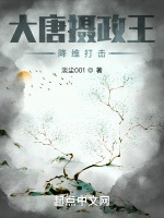 大唐攝政王，降維打擊小說封面圖