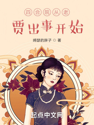 四合院從老賈出事開始小說封面圖