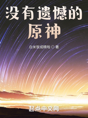 沒有遺憾的原神小說封面圖