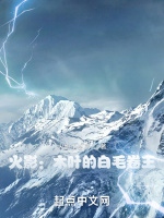火影：木葉的白毛卷王小說封面圖