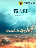 一路向陽小說封面圖