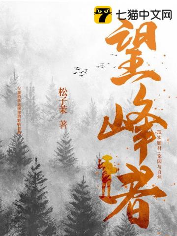 望峯者小說封面圖