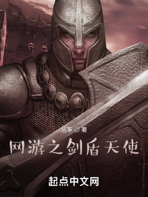網遊之劍盾天使小說封面圖