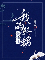 我的外甥是雍正小說封面圖