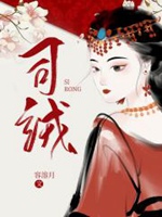 司絨小說封面圖