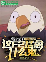 讓你看着改，這f2猛禽甚麼鬼？小說封面圖