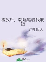 流放後，朝廷追着我餵飯小說封面圖