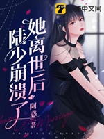 她離世後陸少崩潰了小說封面圖