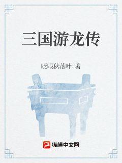 三國游龍傳小說封面圖