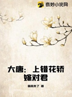 大唐：上錯花轎嫁對君小說封面圖