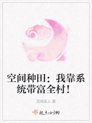 空間種田：我靠系統帶富全村！小說封面圖