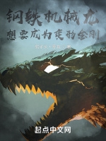 鋼鐵機械龍想要成爲變形金剛小說封面圖