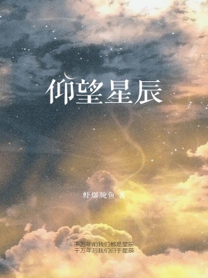 仰望星辰小說封面圖