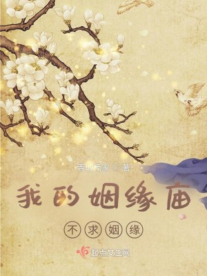 我的姻緣廟不求姻緣小說封面圖