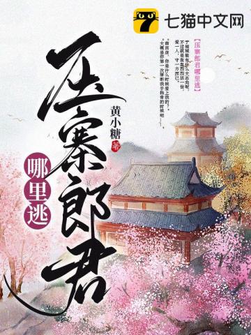 壓寨郎君哪裏逃小說封面圖