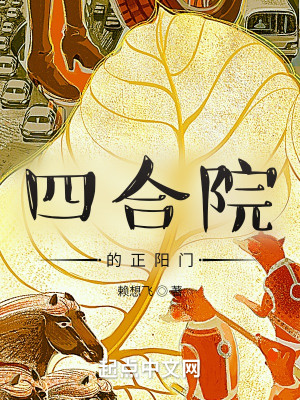 四合院下正陽門小說封面圖