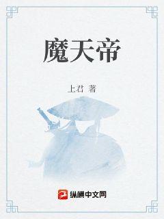 天魔帝君小說封面圖