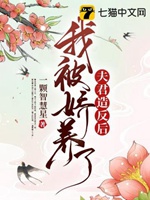 夫君造反後，我被嬌養了小說封面圖