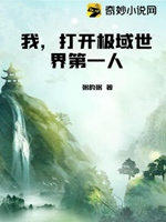 我，打開極域世界第一人小說封面圖
