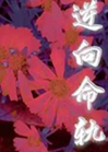 逆向命軌小說封面圖