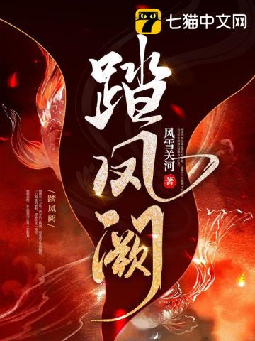 踏鳳闕小說封面圖