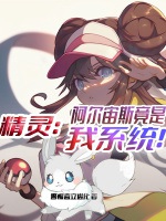 精靈：阿爾宙斯竟是我係統！小說封面圖