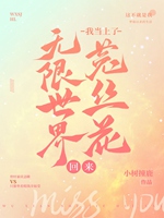 無限世界回來我當上了菟絲花小說封面圖