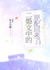 二婚文中的原配回來了[七零]小說封面圖