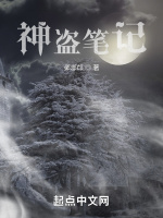 神盜筆記小說封面圖