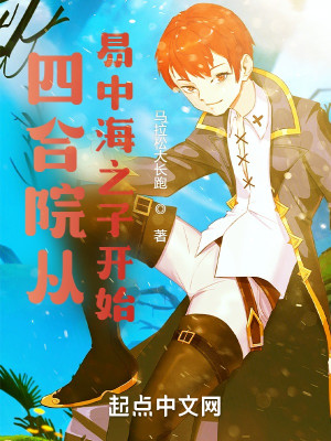 四合院從易中海之子開始小說封面圖