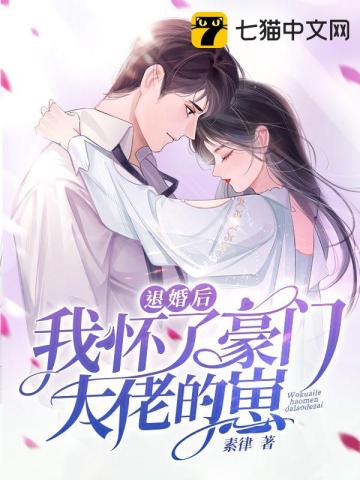 退婚後我懷了豪門大佬的崽小說封面圖