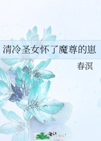 清冷聖女懷了魔尊的崽小說封面圖