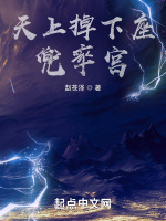 天上掉下座兜率宮小說封面圖