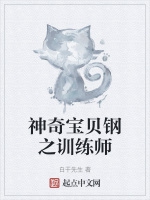 神奇寶貝鋼之訓練師小說封面圖
